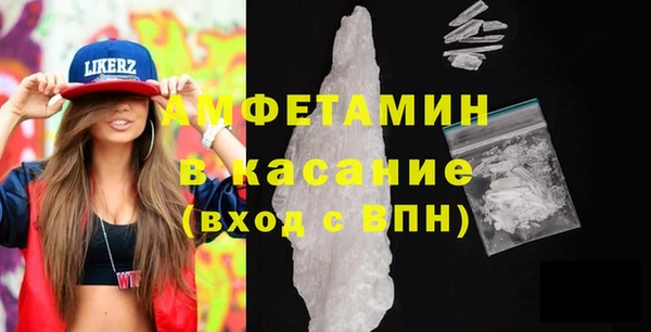 индика Богородицк