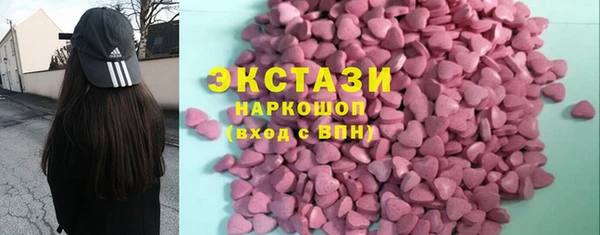 индика Богородицк