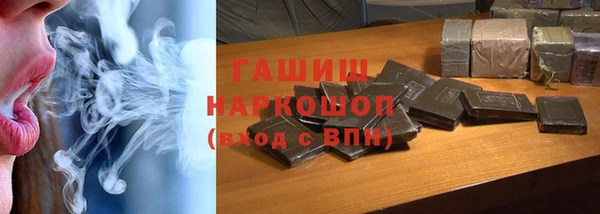 индика Богородицк