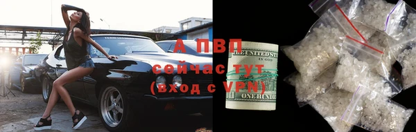 индика Богородицк