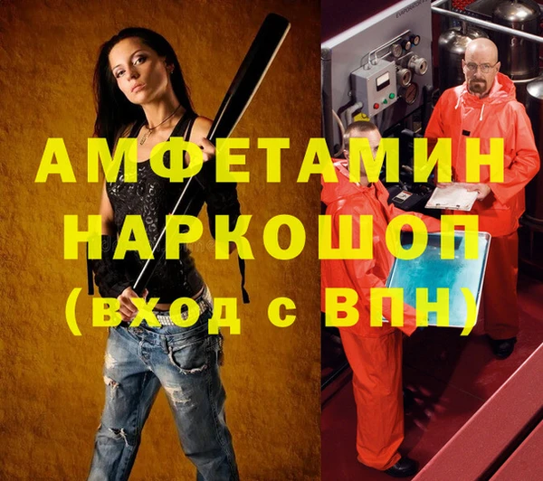 индика Богородицк