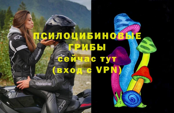 гашик Богородск