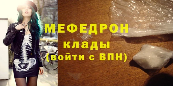индика Богородицк