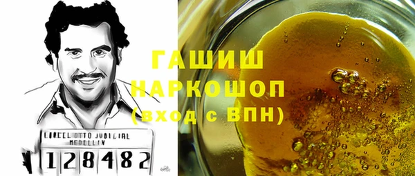 индика Богородицк