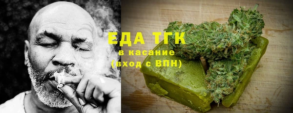 индика Богородицк