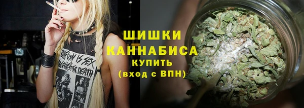 гашик Богородск